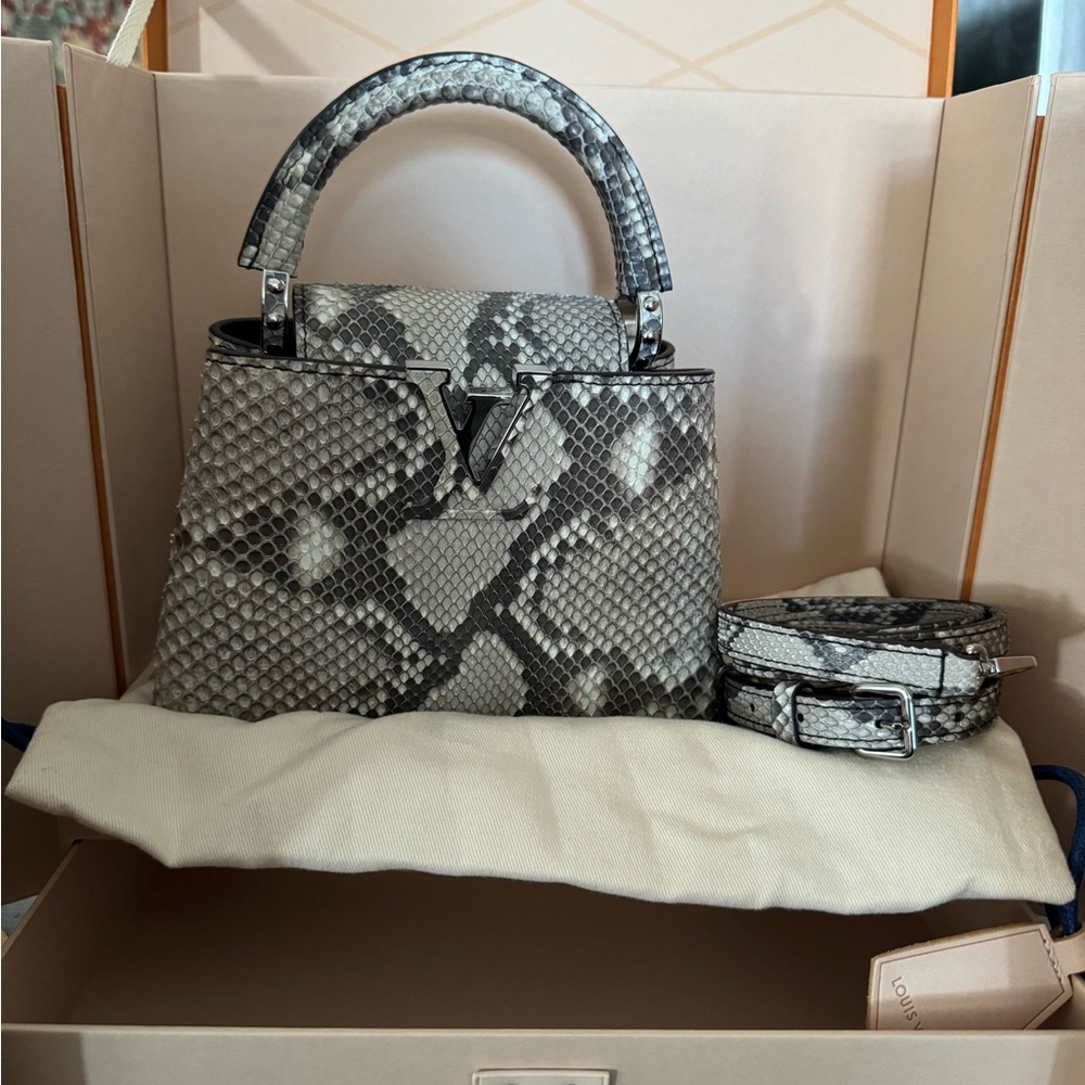 Rare Authentic Exotic Python Louis Vuitton mini Capucine - Picture 3 of 9
